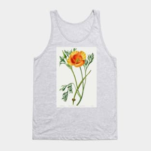 California poppy - Botanical Illustration Tank Top